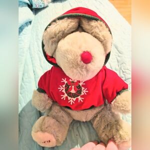 Cozy Red Hooded Plush Bear